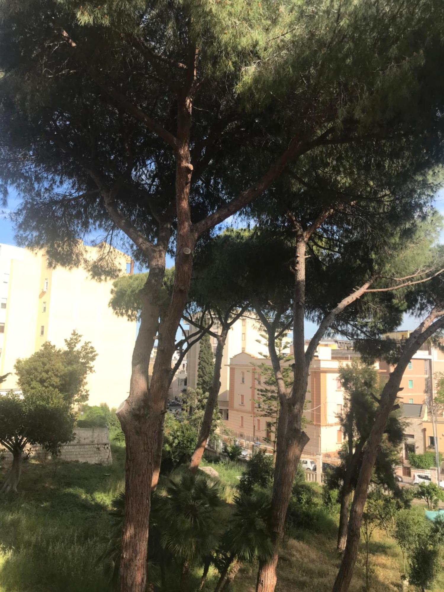 Villa San Giuseppe Brindisi Eksteriør billede